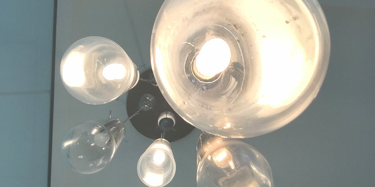 Profiles DC office light bulbs