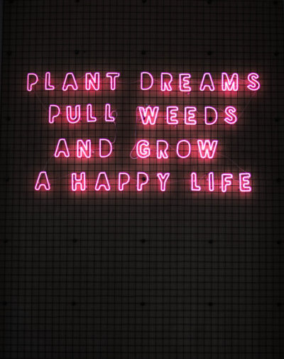 Who are millennials? Plant dreams. Pull weeds. Grow a happy life.