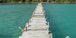 wooden log bridge over blue water