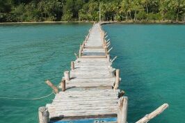 wooden log bridge over blue water