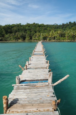 wooden log bridge over blue water