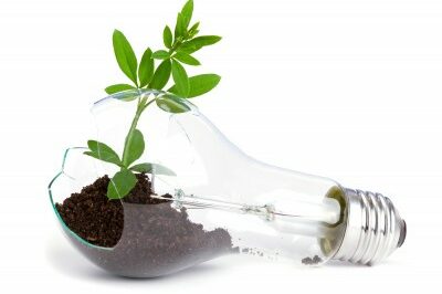 lightbulb cracked with dirt and plant growing out of it