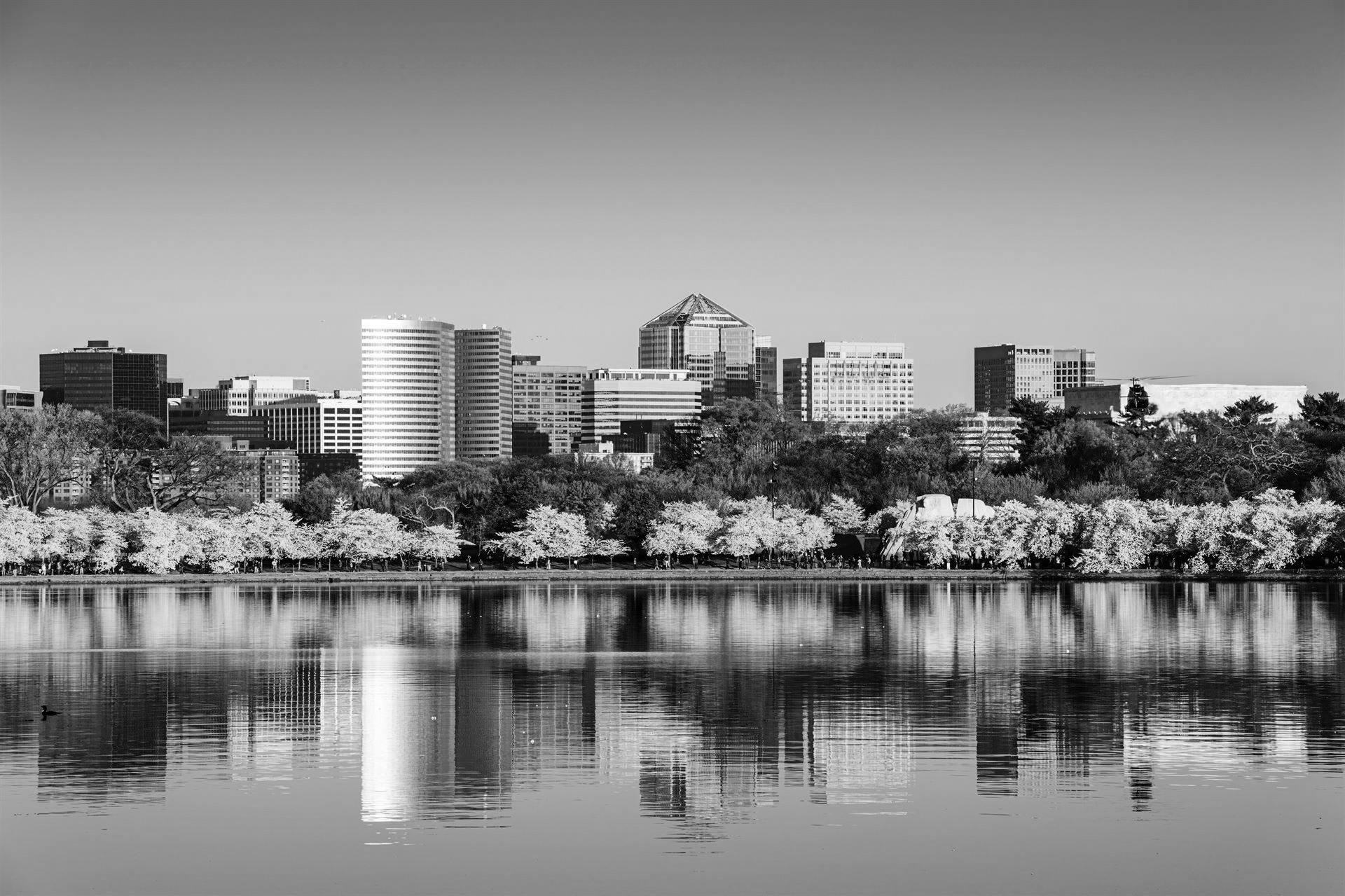 Black and white photo of washington dc city landscape