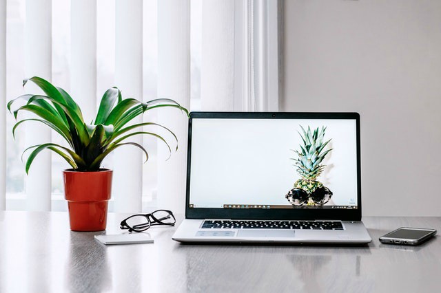 desk with plant and computer sustainable workforce