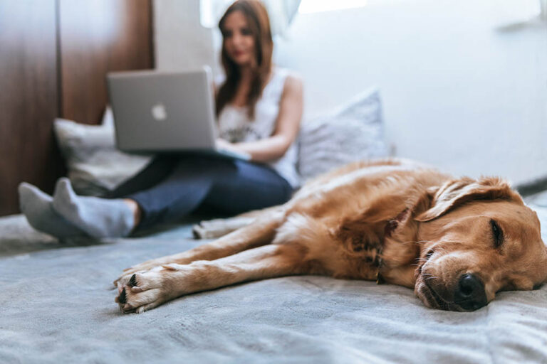 woman working from home with her pet