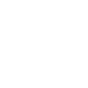 handshake_white icon of a handshake
