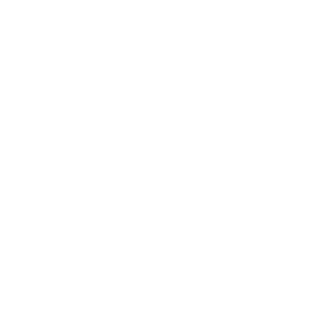 savings_white icon of a piggy bank