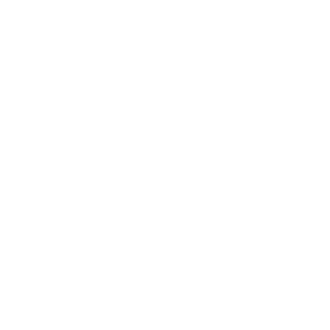 speedometer_white icon of speedometer