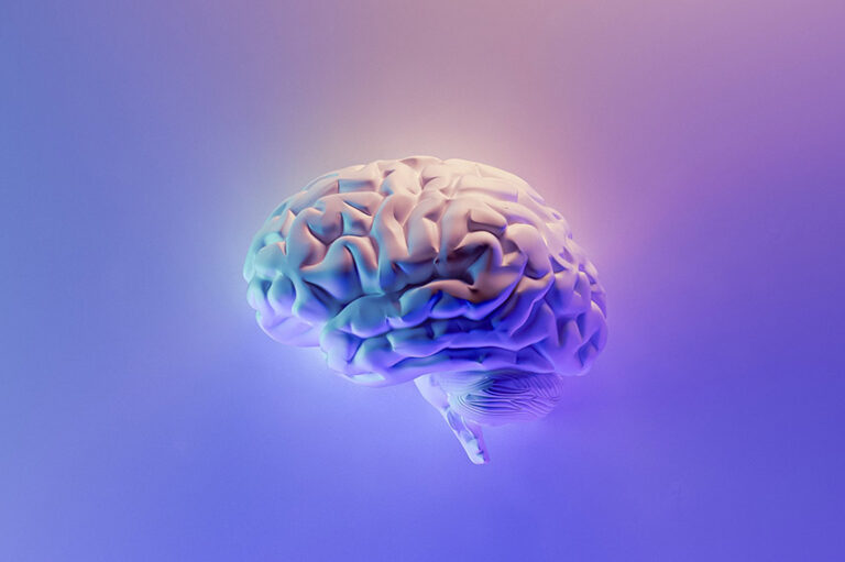 Image of a brain on a pink and purple background