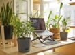 Optimize remote job search work from home set up